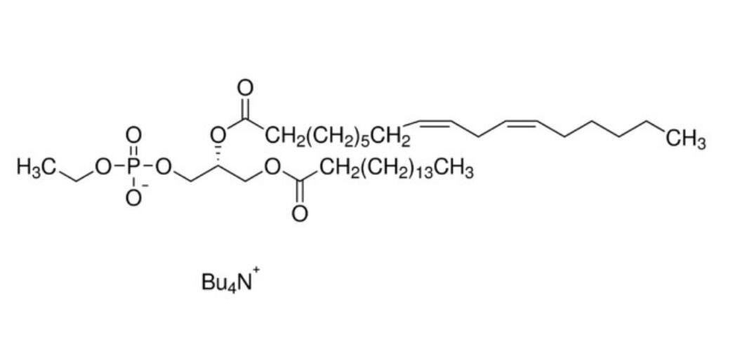 P-115  磷脂酰乙醇16:0/18:2 標(biāo)準(zhǔn)溶液